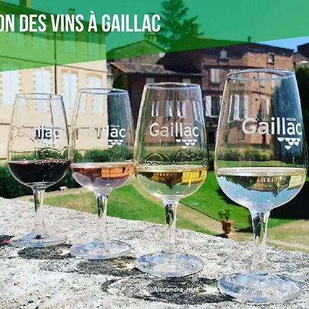 Holiday home Le Duo Syrah Sauna Entre Albi-toulouse & Les Du Tarn