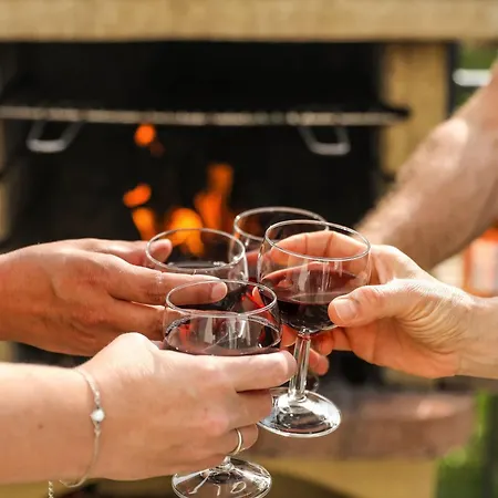 Le Duo Syrah Sauna Entre Albi-toulouse & Les Du Tarn Holiday home Brens (Tarn)