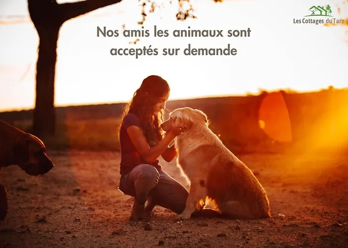 Feriehus Le Duo Syrah Clim Entre Albi-toulouse & Les Du Tarn Brens (Tarn)