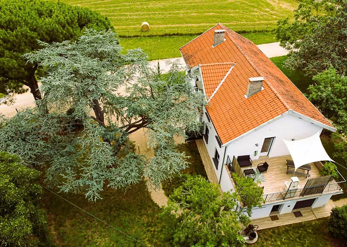 Le Duo Syrah Clim Entre Albi-toulouse & Les Du Tarn Feriehus